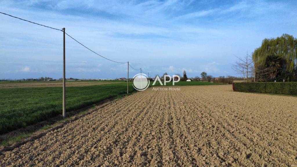 immagine annuncio 7 di 9