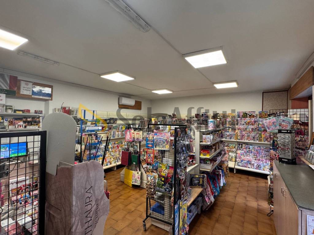 immagine annuncio 2 di 6