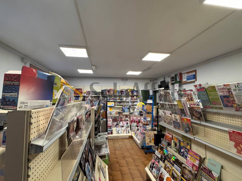 immagine annuncio 3 di 6