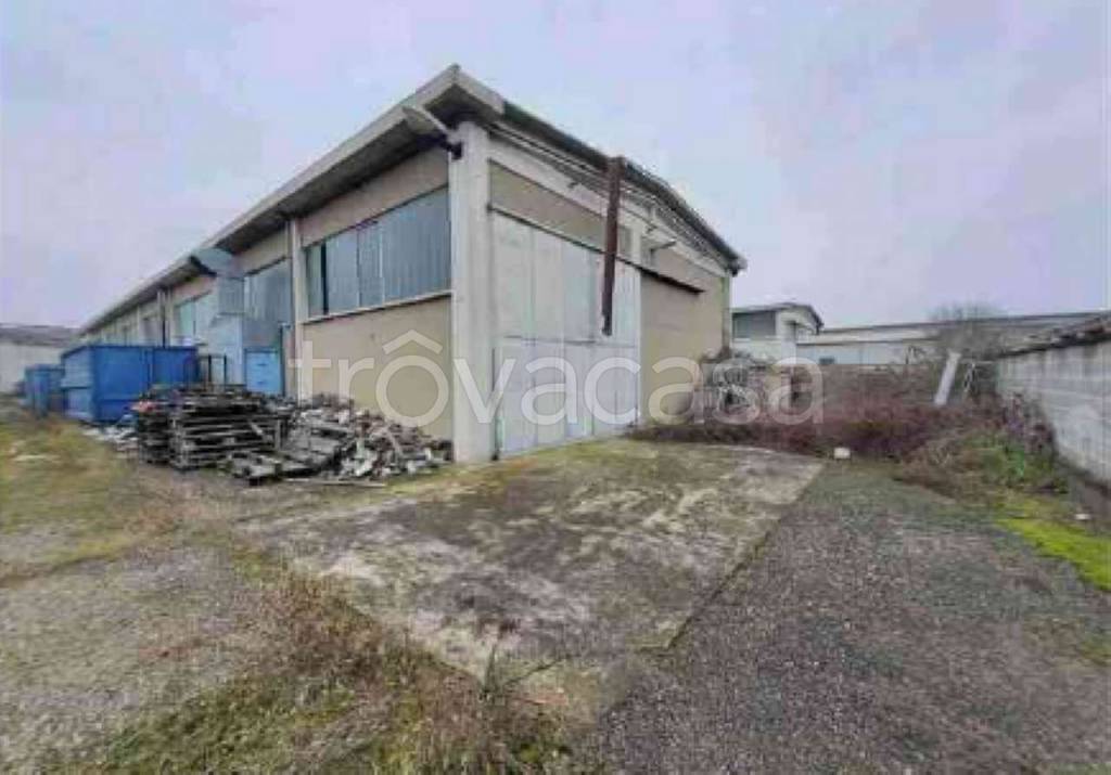 immagine annuncio 11 di 15