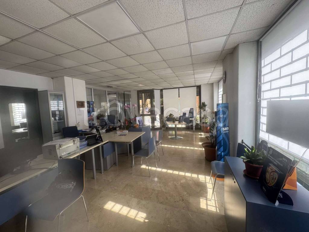 immagine annuncio 3 di 14