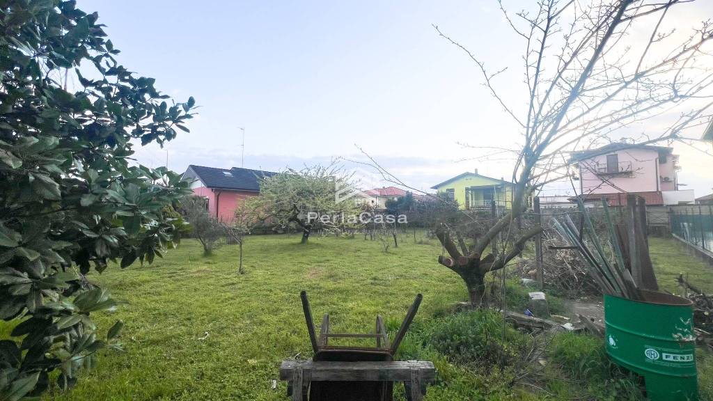 immagine annuncio 2 di 6