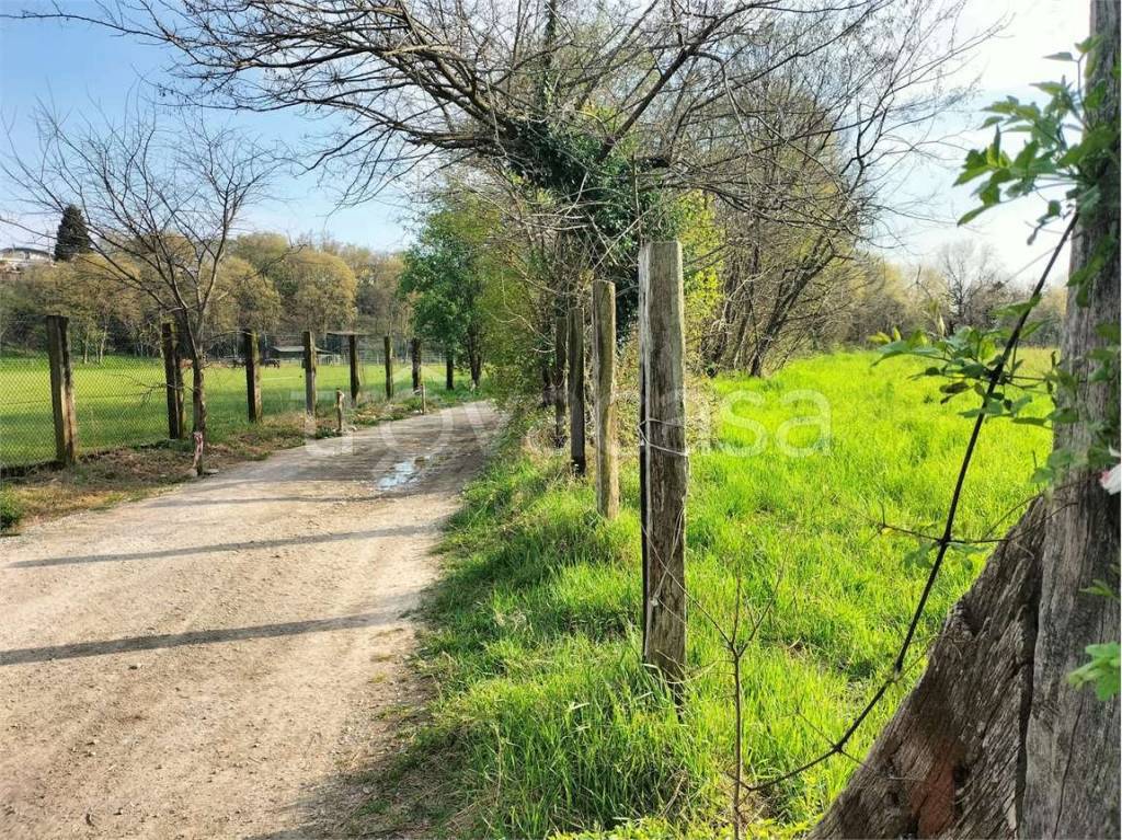 immagine annuncio 1 di 7