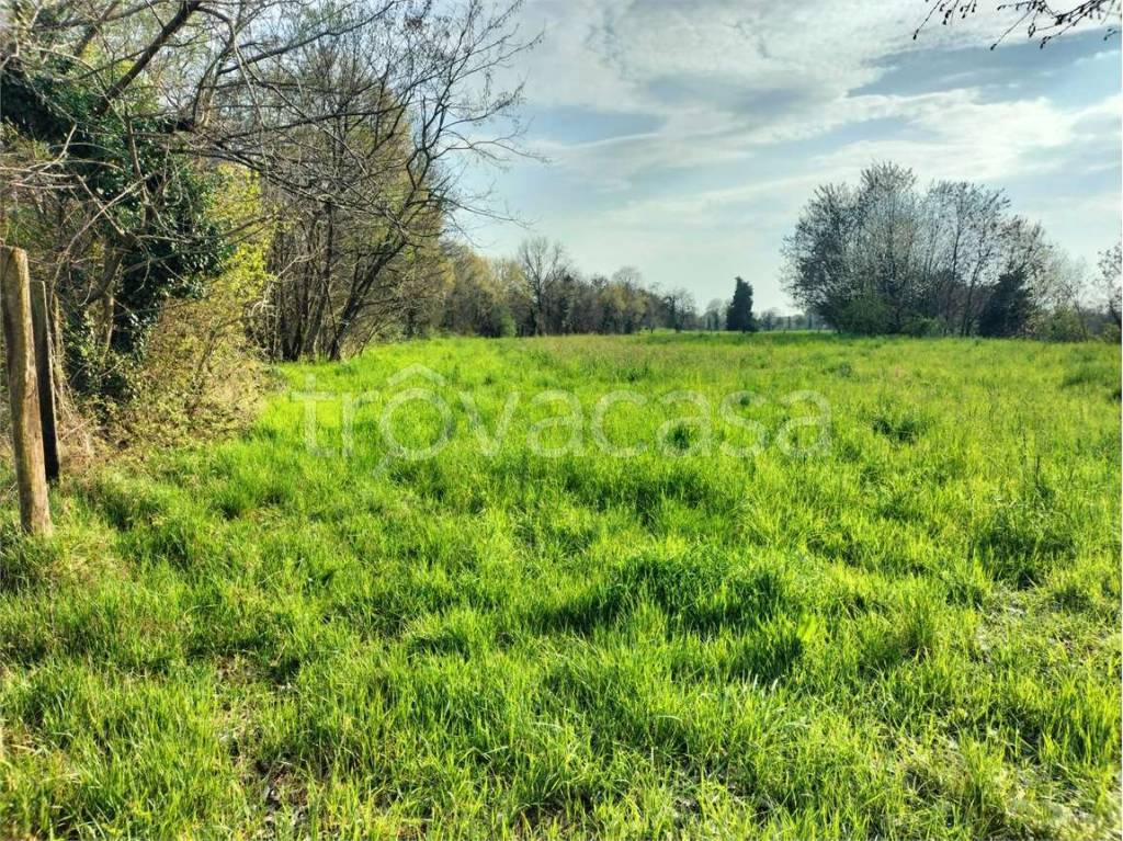 immagine annuncio 4 di 7