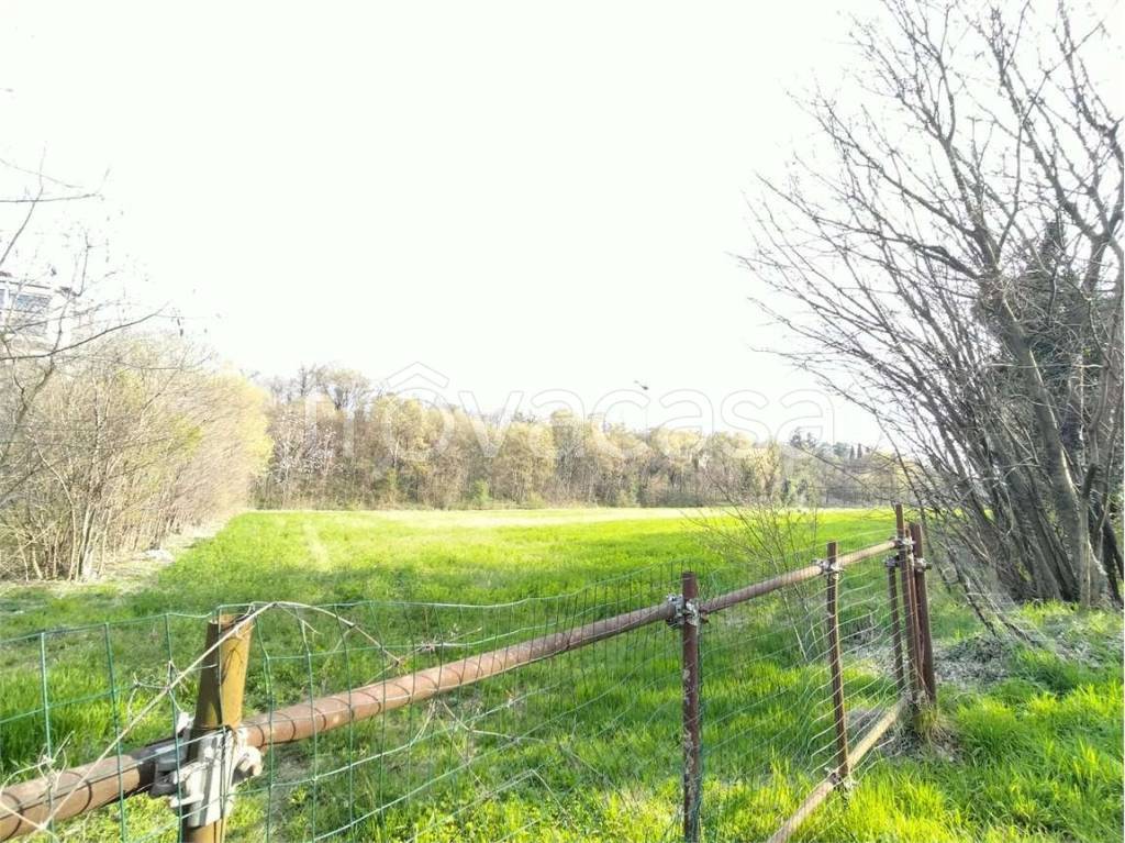 immagine annuncio 5 di 7