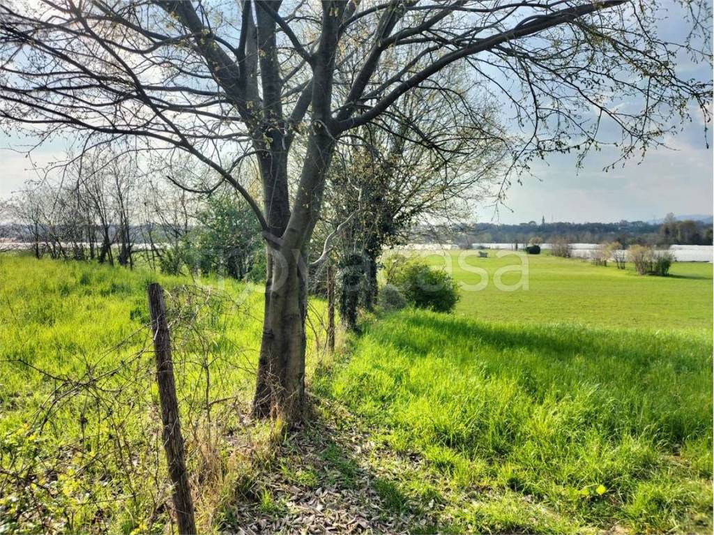 immagine annuncio 2 di 7