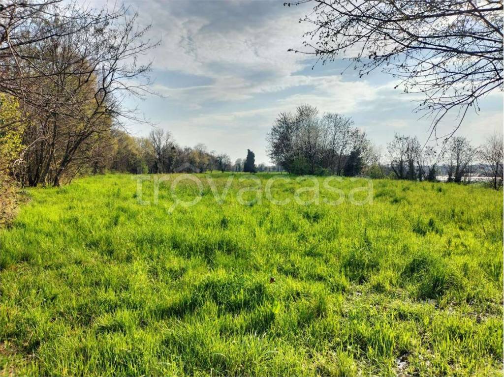 immagine annuncio 3 di 7