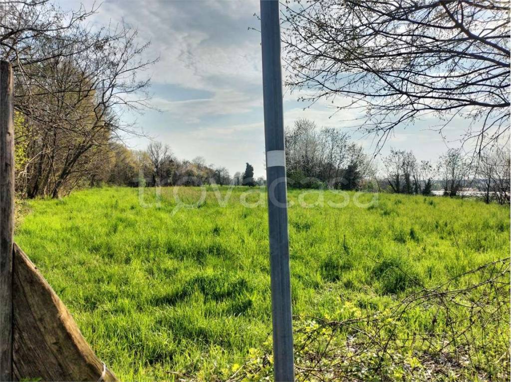 immagine annuncio 6 di 7