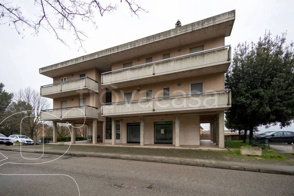 immagine annuncio 6 di 8