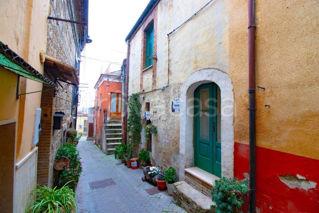 immagine annuncio 2 di 6