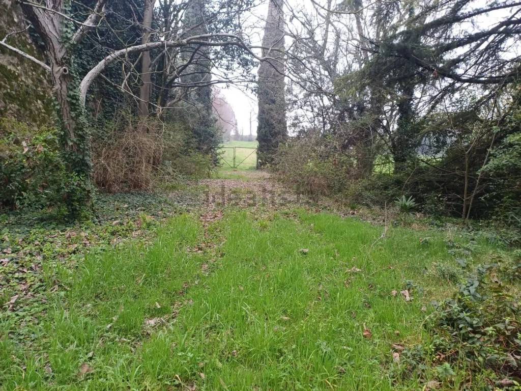 immagine annuncio 9 di 13