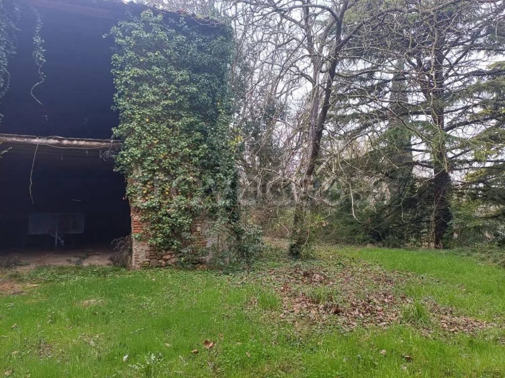 immagine annuncio 11 di 13