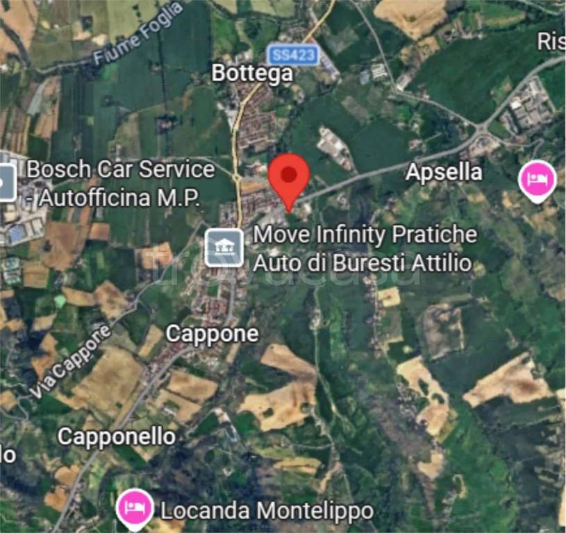 immagine annuncio 10 di 15