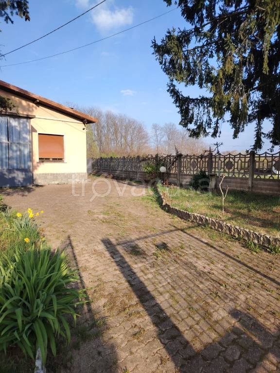 immagine annuncio 6 di 15