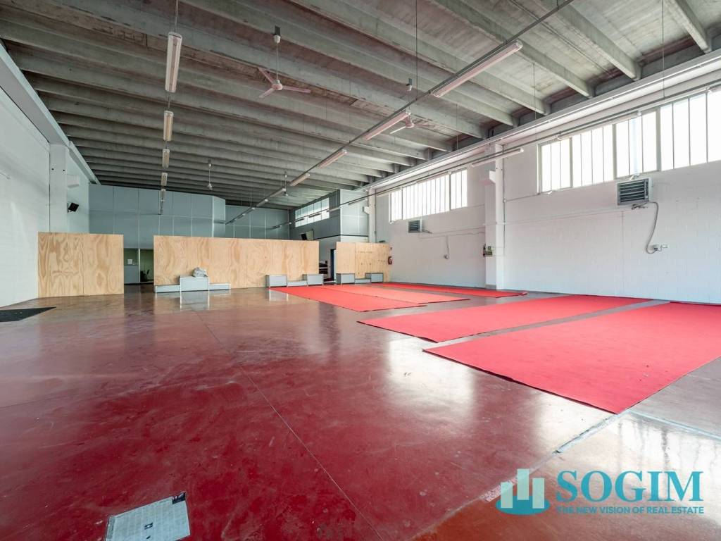 immagine annuncio 7 di 15