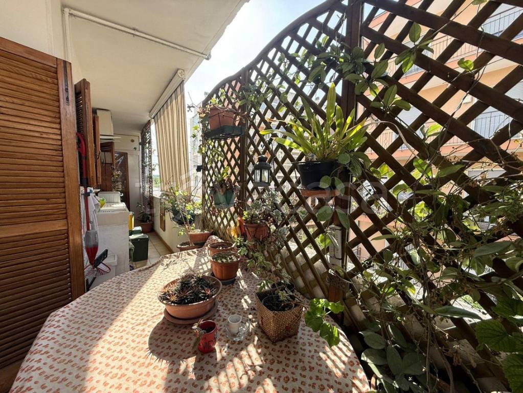 immagine annuncio 9 di 13