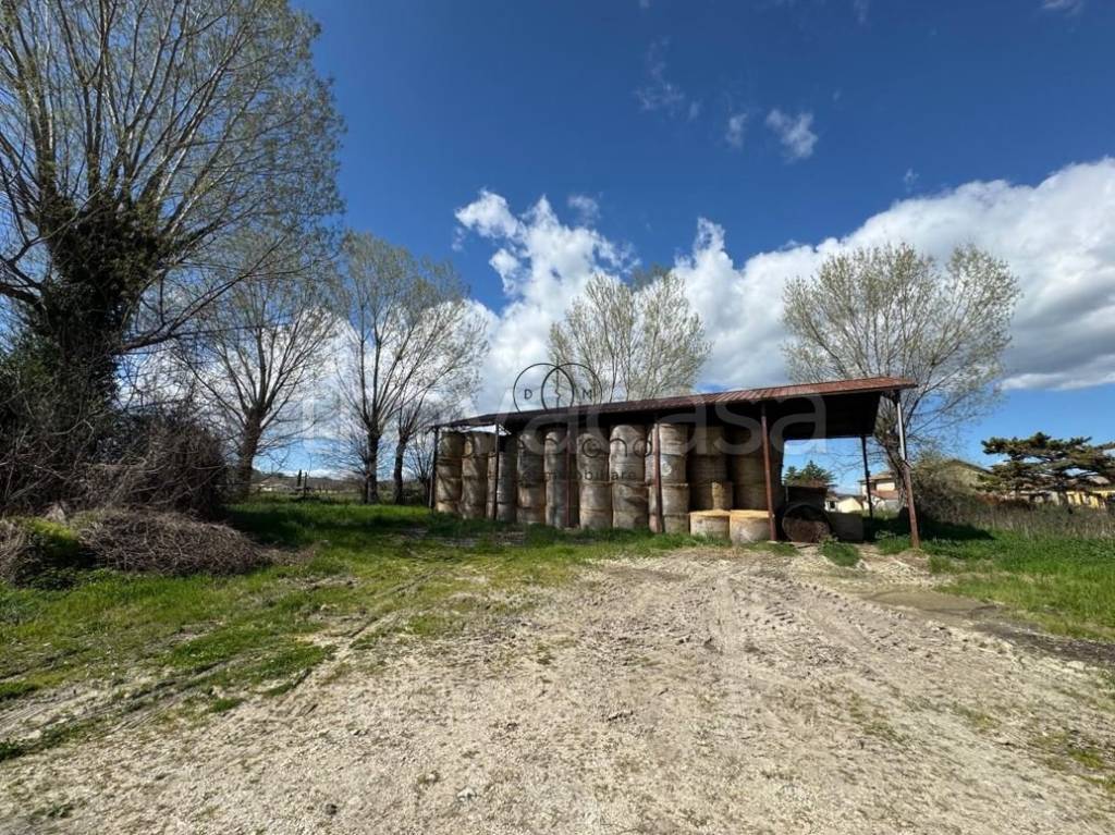 immagine annuncio 10 di 11