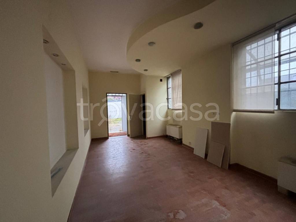 immagine annuncio 4 di 8