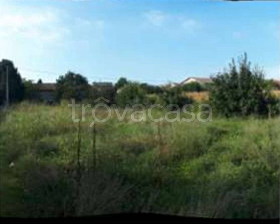 immagine annuncio 10 di 14