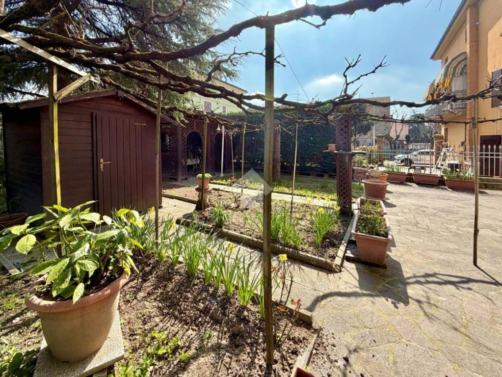 immagine annuncio 3 di 15