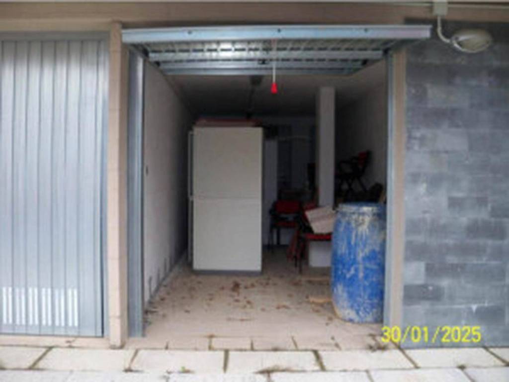 immagine annuncio 1 di 12