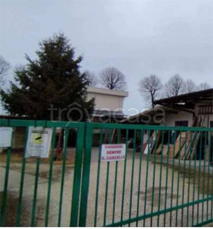 immagine annuncio 1 di 11