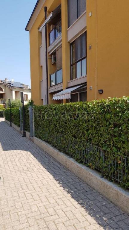 immagine annuncio 2 di 14