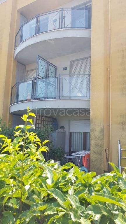 immagine annuncio 4 di 14