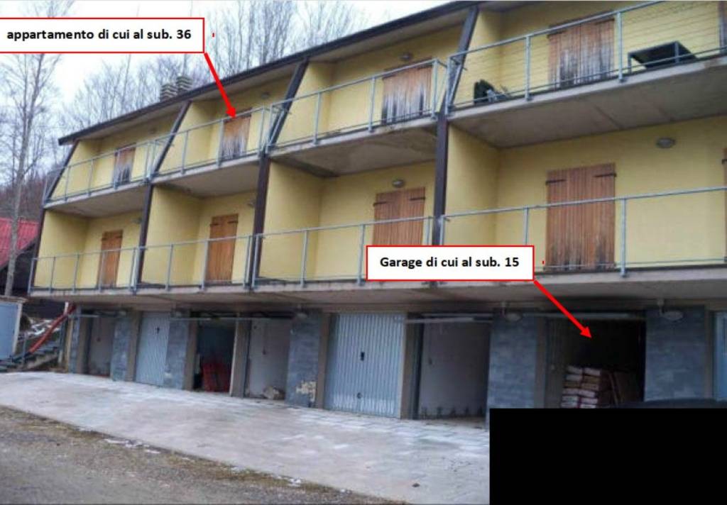 immagine annuncio 1 di 14