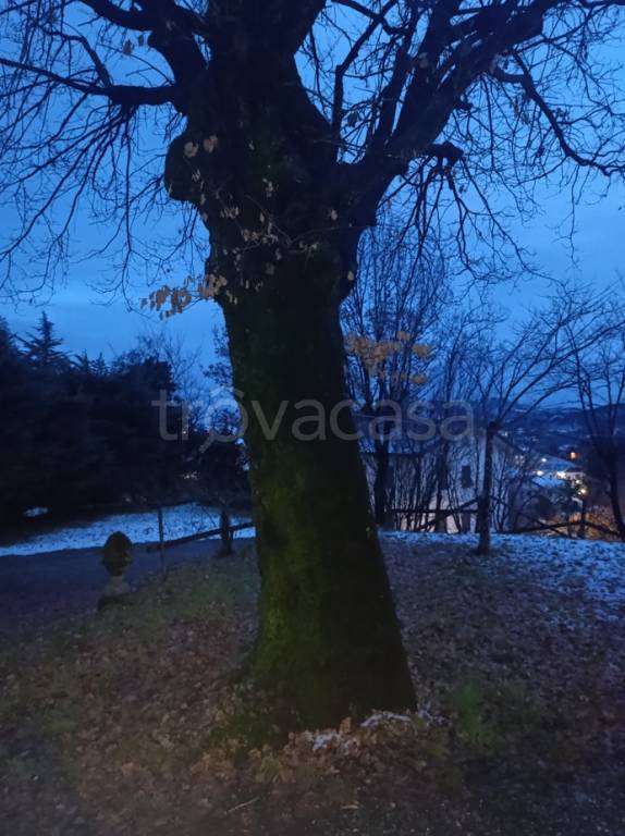 immagine annuncio 8 di 14