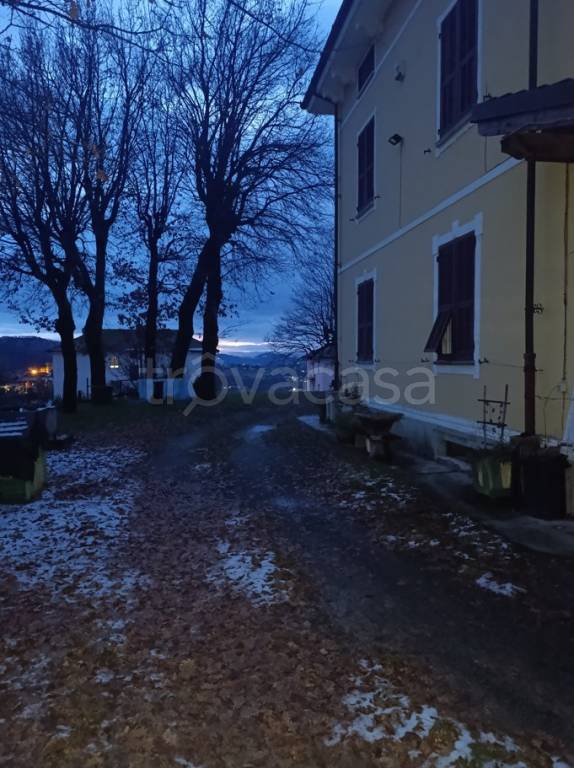 immagine annuncio 11 di 14