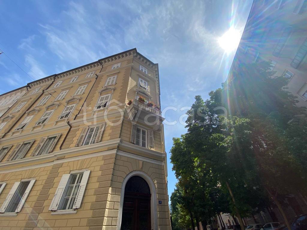 immagine annuncio 1 di 14