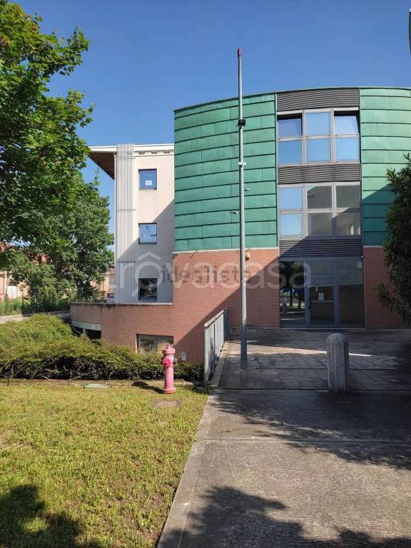 immagine annuncio 2 di 6