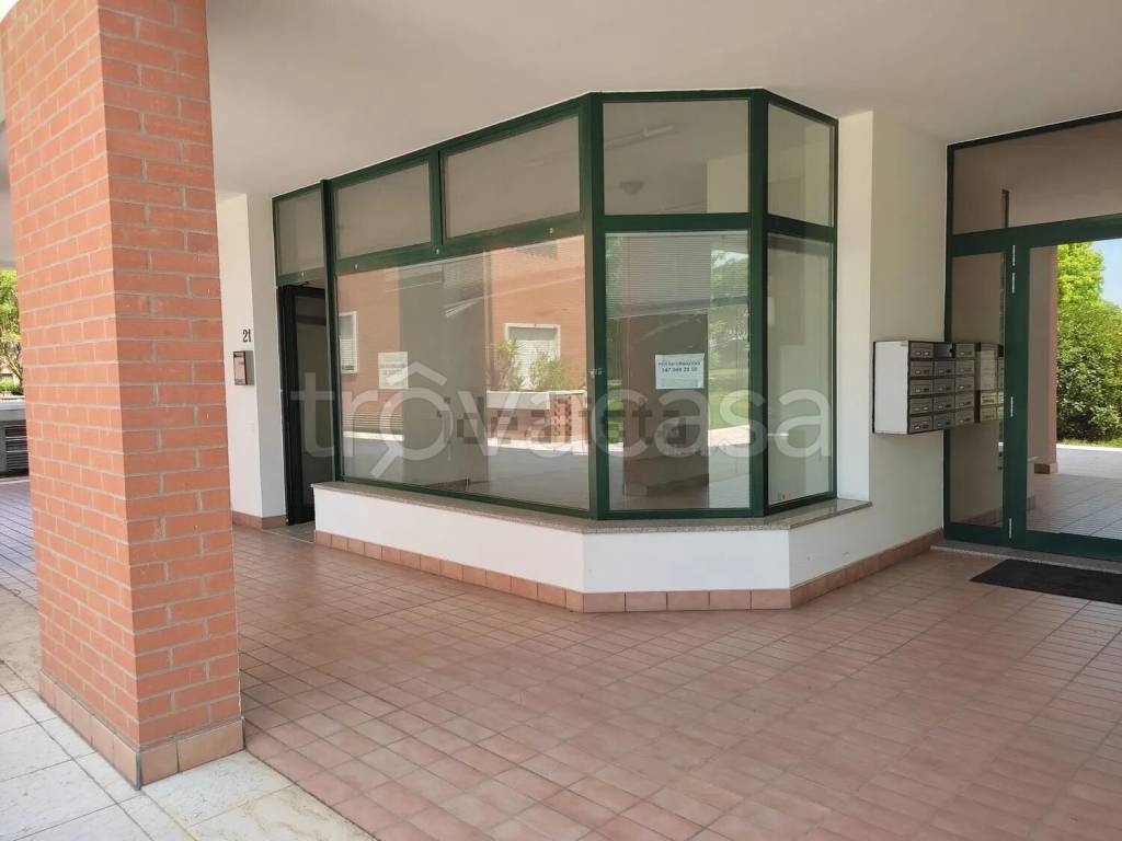 immagine annuncio 1 di 8