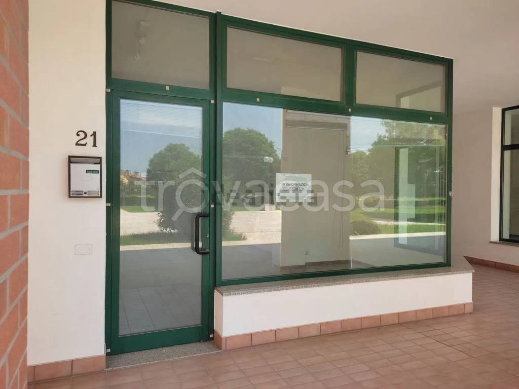 immagine annuncio 3 di 8