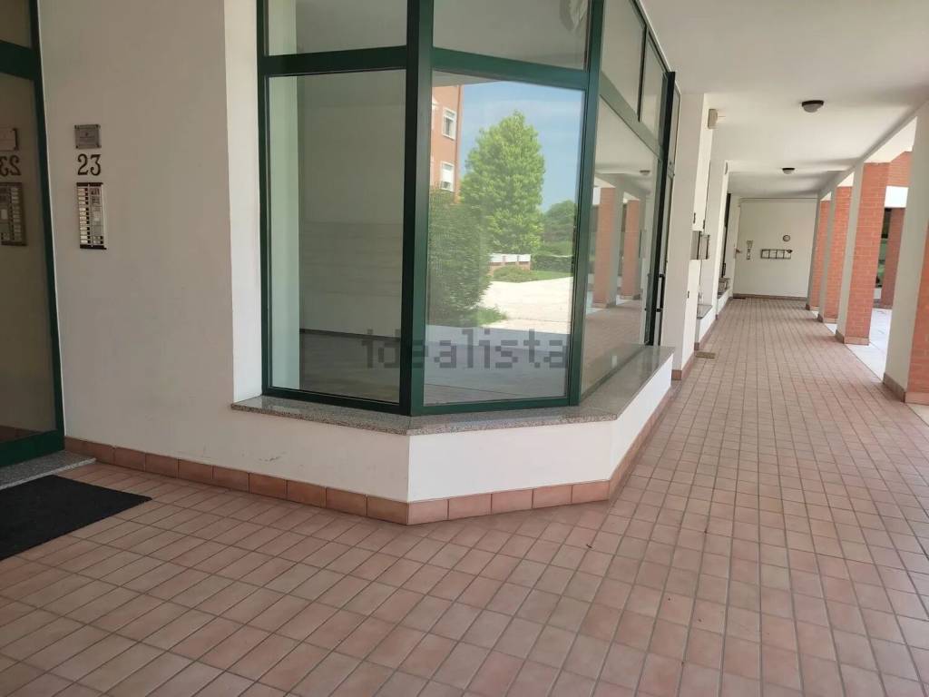 immagine annuncio 4 di 8