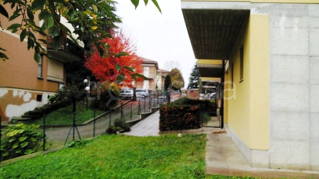 immagine annuncio 10 di 11