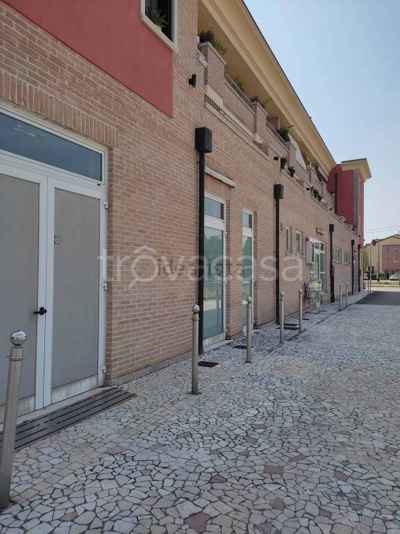 immagine annuncio 2 di 6