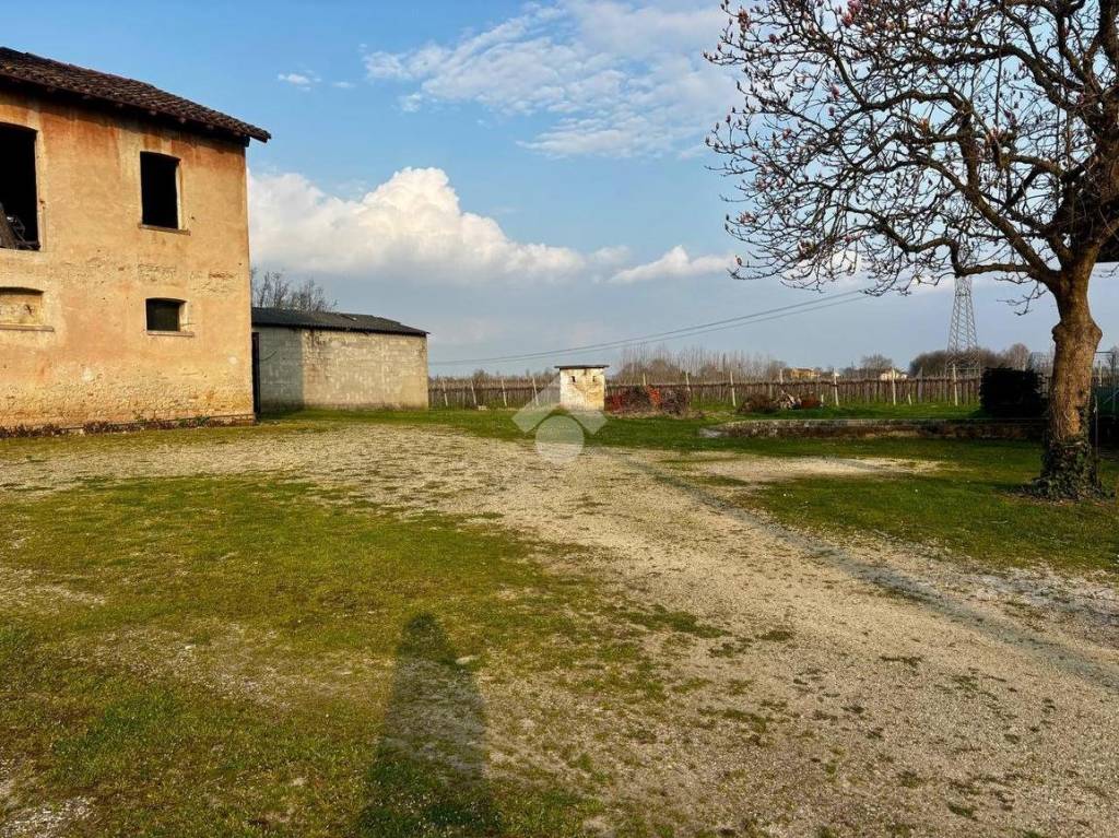 immagine annuncio 12 di 15