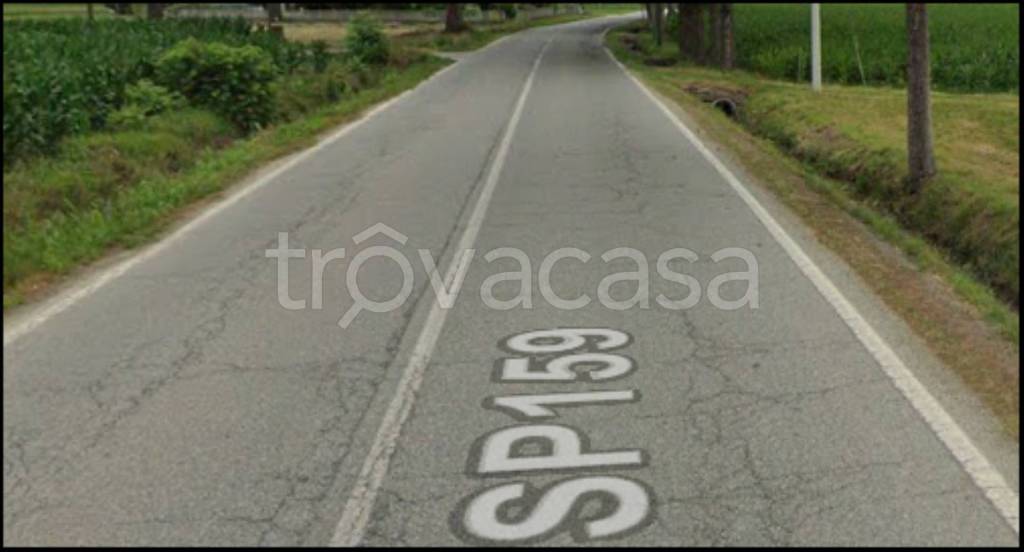 immagine annuncio 6 di 12