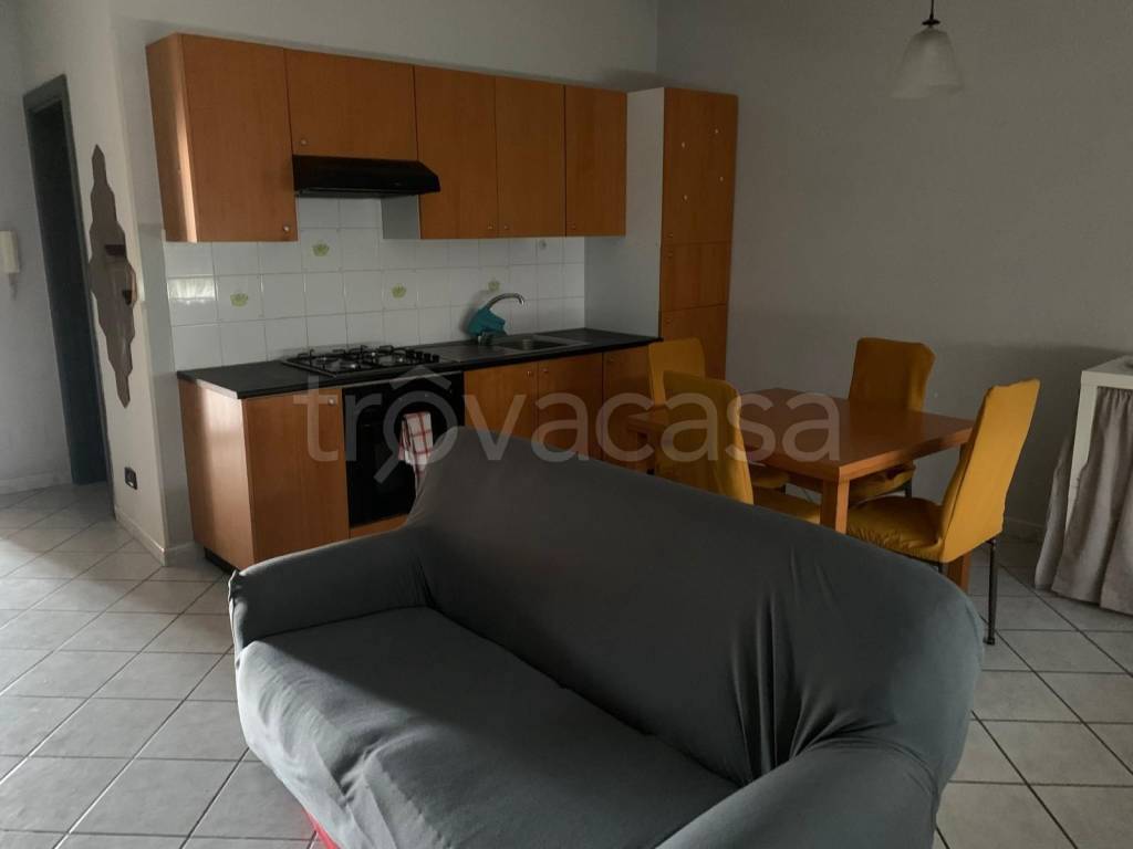 immagine annuncio 1 di 14