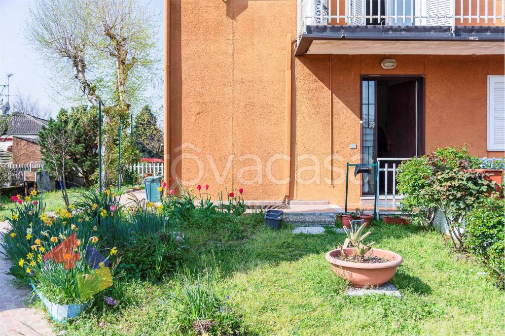 immagine annuncio 2 di 15