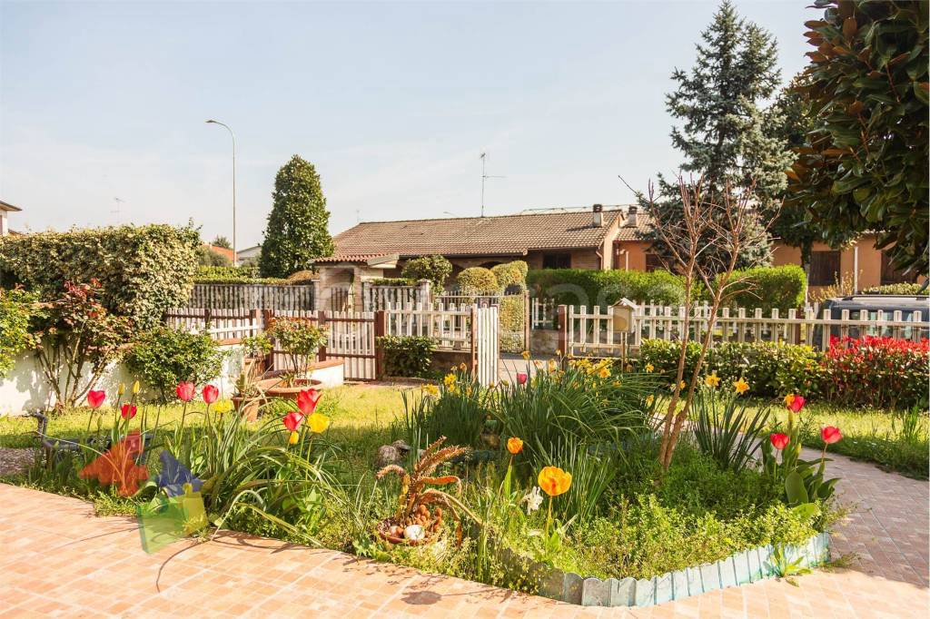 immagine annuncio 9 di 15