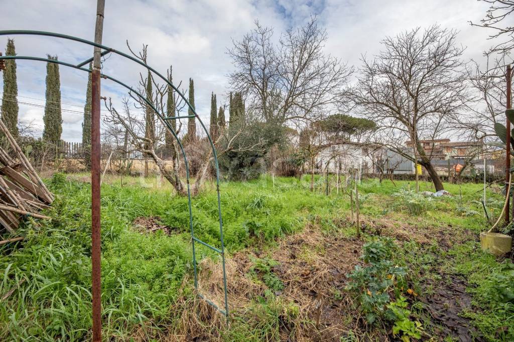 immagine annuncio 8 di 14