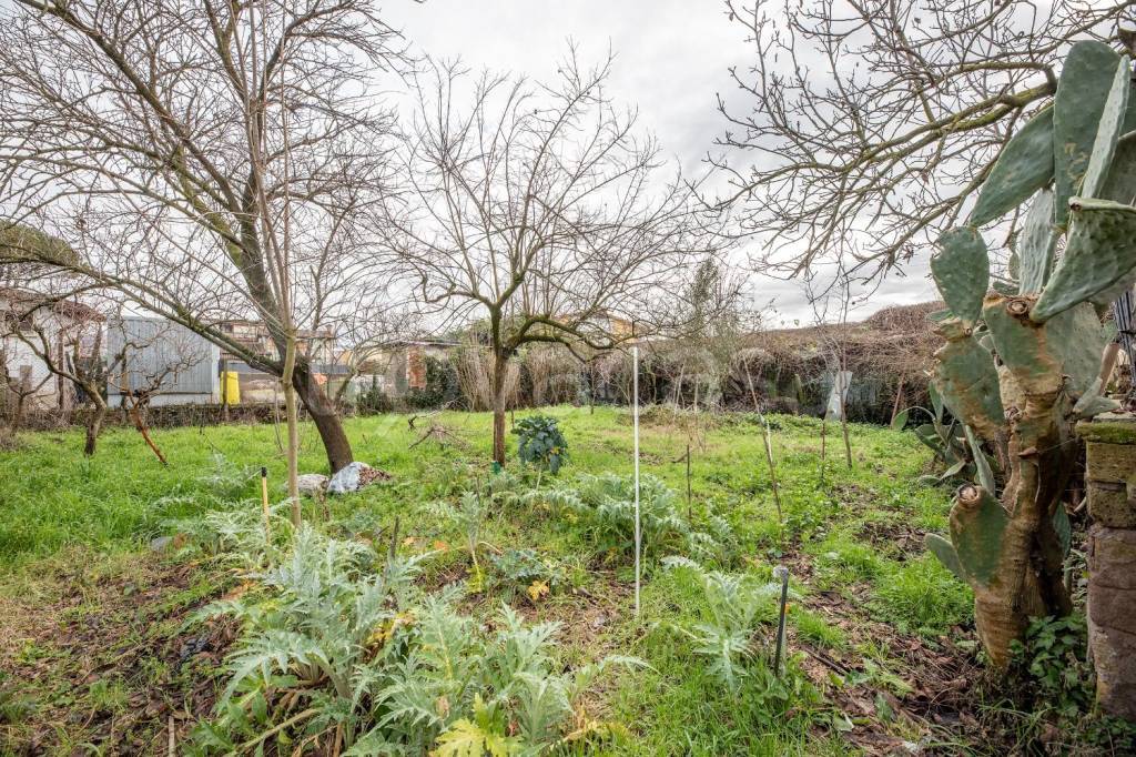 immagine annuncio 9 di 14