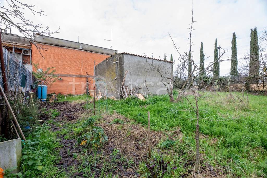 immagine annuncio 10 di 14