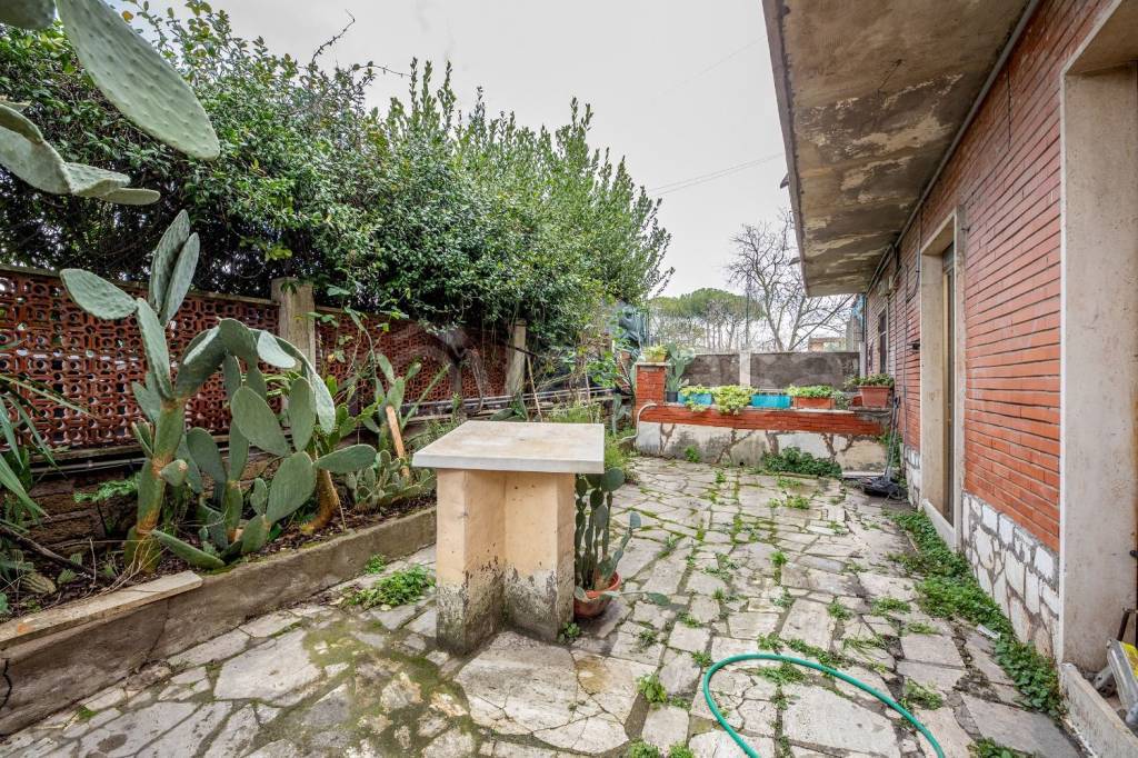 immagine annuncio 11 di 14