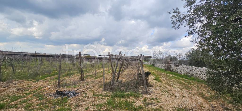 immagine annuncio 7 di 14