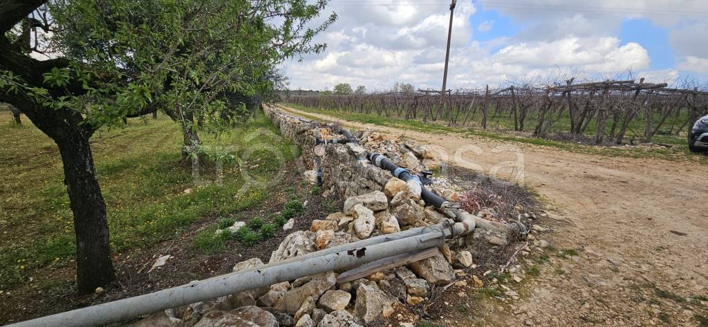 immagine annuncio 10 di 14