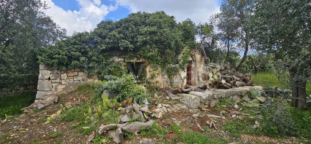 immagine annuncio 13 di 14